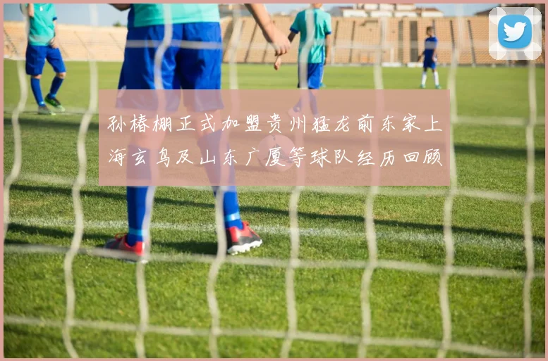 孙椿棚正式加盟贵州猛龙前东家上海玄鸟及山东广厦等球队经历回顾