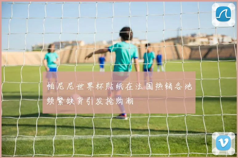 帕尼尼世界杯贴纸在法国热销各地频繁缺货引发抢购潮